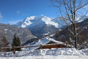 Le Mazot des Tacounets Saint-Gervais-Les-Bains